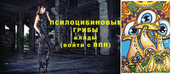 индика Краснотурьинск