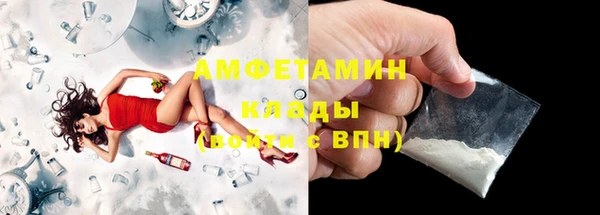 индика Краснотурьинск