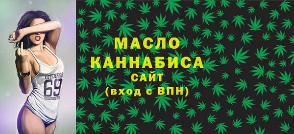 индика Краснотурьинск