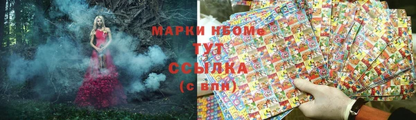 индика Краснотурьинск