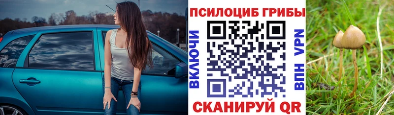 Галлюциногенные грибы ЛСД  Купить  Мурманск 