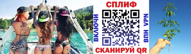 Канабис MAZAR  Купить закладки  Мурманск 